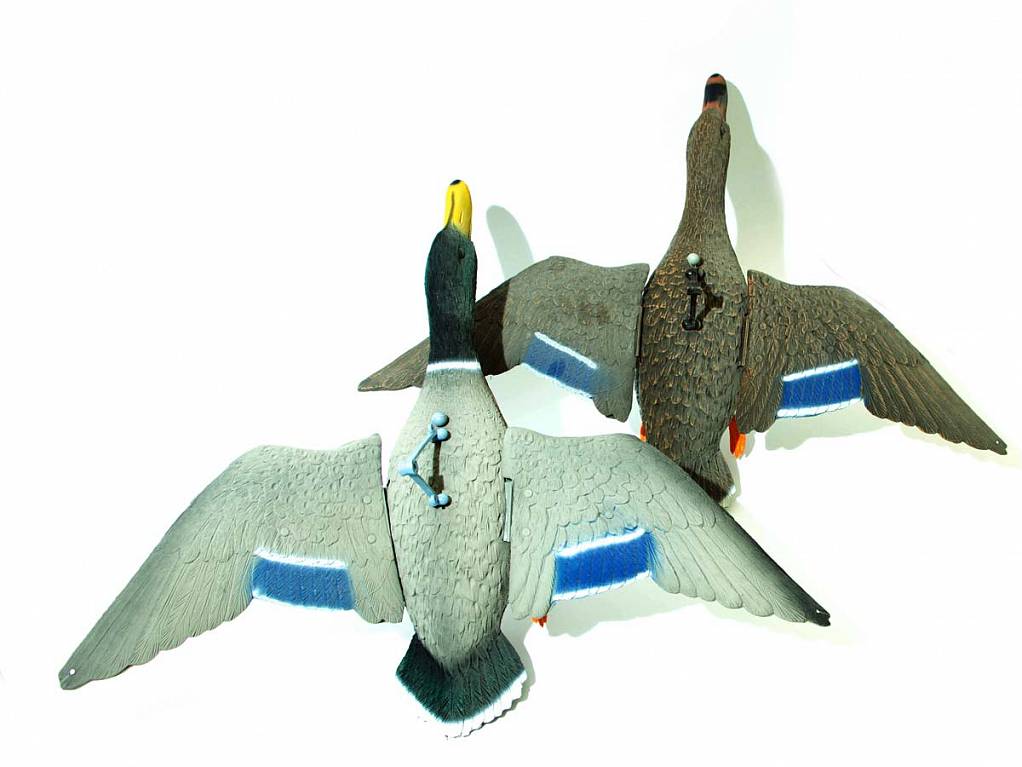 Чучело КРЯКВЫ селезень+утка (летящий, креп. на палку. подвижн. крылья.)