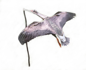 Воздушный змей "Гусь белолобый"